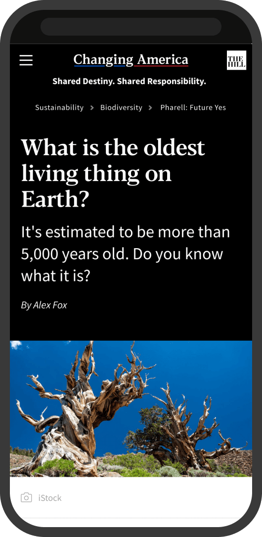 Cherrypicks mobile article