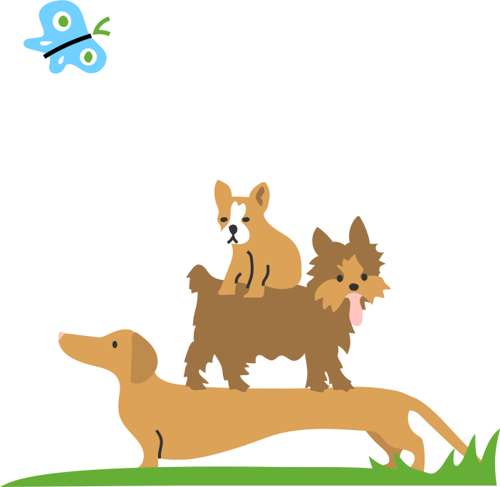 Puppy Spot footer image