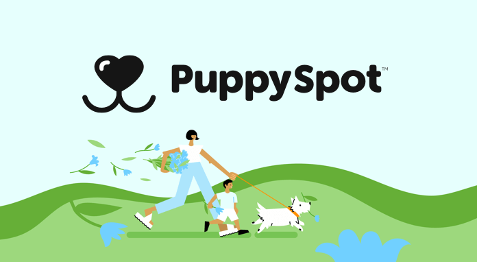 Puppy Spot header