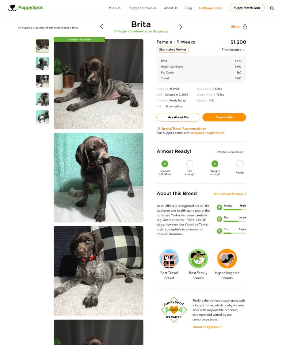 Puppy Spot education page