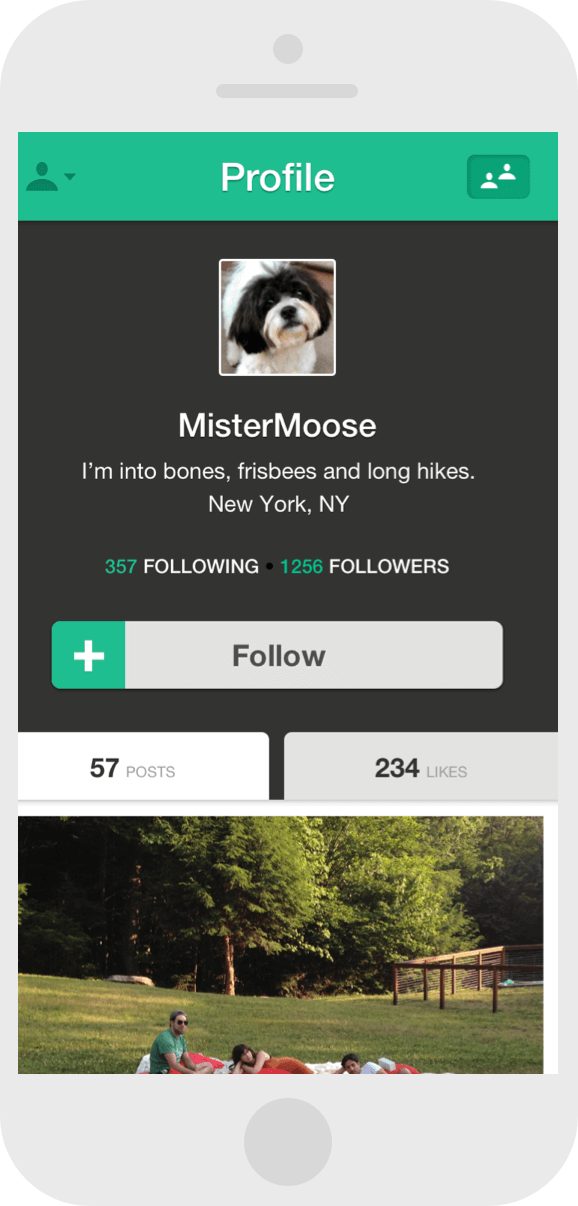 Vine version 1 profile screen image
