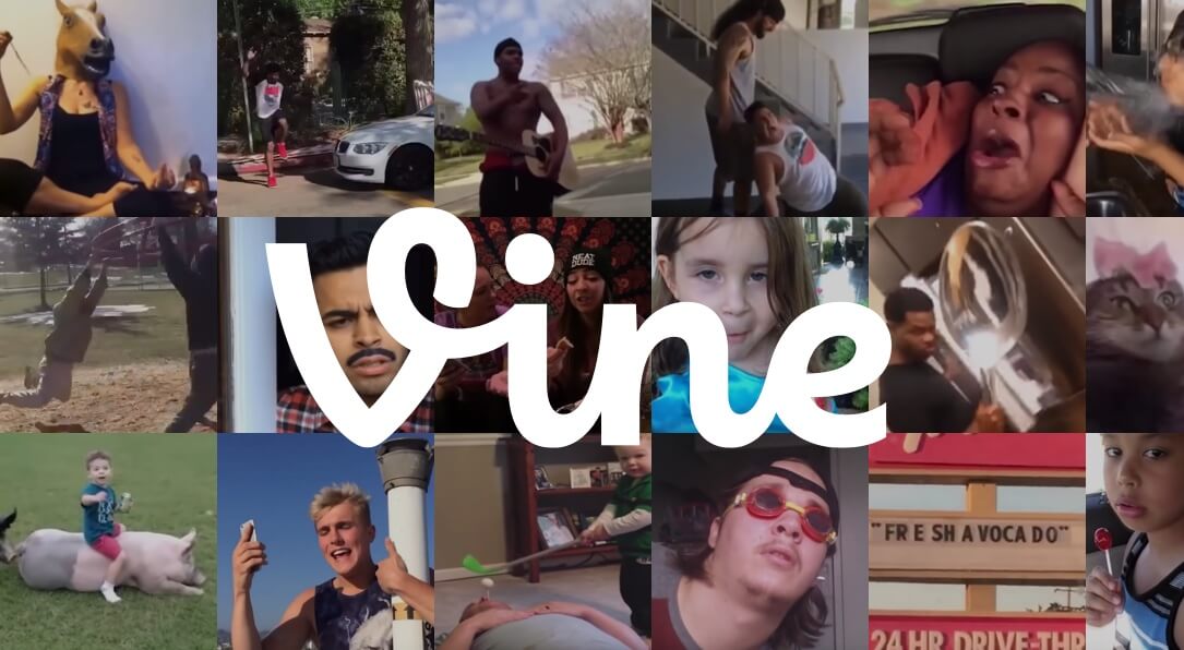 Vine Header